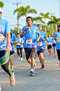 BIB: 8305, 8475
                            <button type="button" onclick="openModal(3440959)" class="btn btn-primary btn-sm float-right btn-popup" data-toggle="modal" data-target=".modal-high-quality">
                        <i class="fas fa-shopping-cart"></i> Add to Cart
                    </button>
                                            <button type="button" onclick="isThisMe(3440959, true)" class="btn btn-success btn-sm float-right btn-popup btn-isme hidden" data-toggle="tooltip" data-placement="bottom" title="นี่คือรูปของคุณใช่ไหม คลิกที่นี่เพื่อเอาเข้าอัลบั้ม">
                        <i class="fas fa-plus"></i> Add to album
                    </button>
                    <button type="button" onclick="isThisMe(3440959, false)" class="btn btn-warning btn-sm float-right btn-popup btn-isnotme hidden">
                        <i class="fas fa-ban"></i> Remove from album
                    </button>